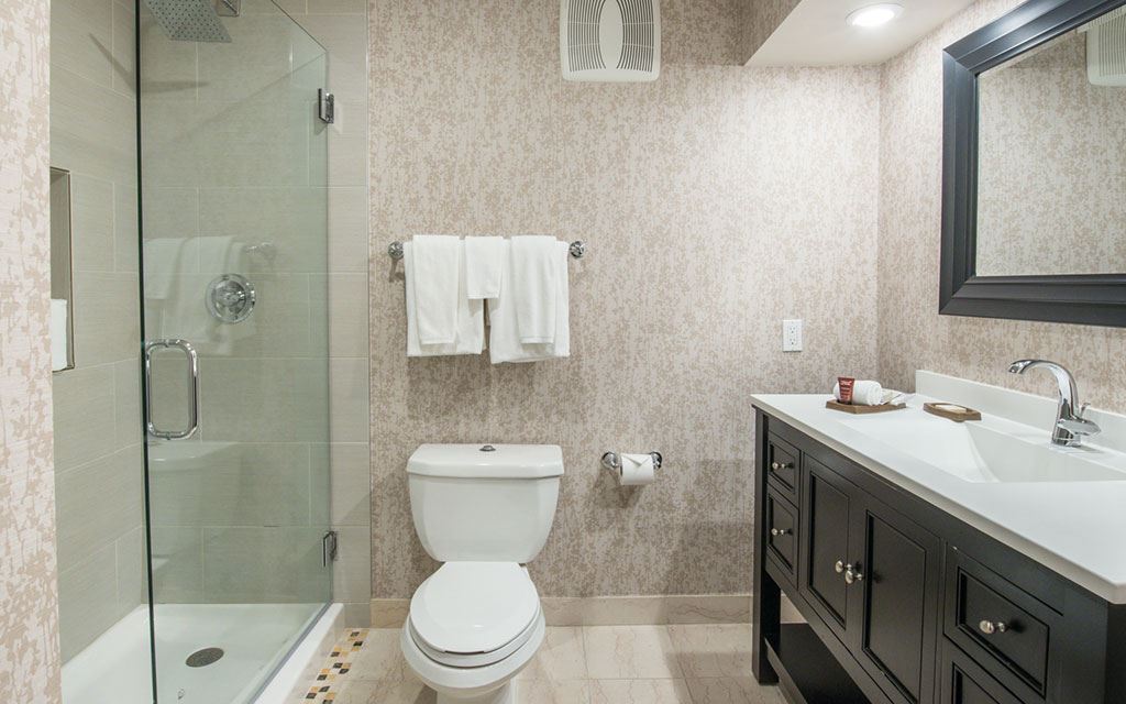 Bathroom with glass shower stall, toilet, and single-sink countertop